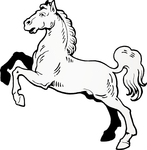 Арабский белый конь PNG Image