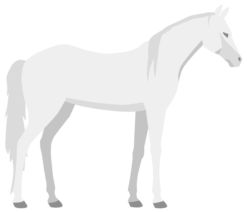 Арабская белая лошадь PNG Pic Pic