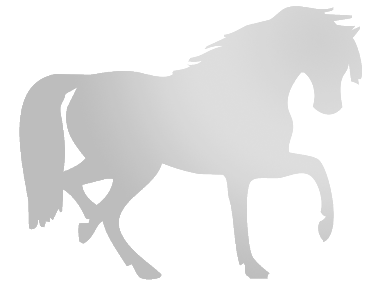 Арабская белая лошадь PNG картина