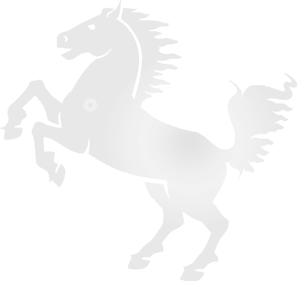 Арабский белый конь прозрачный фон PNG