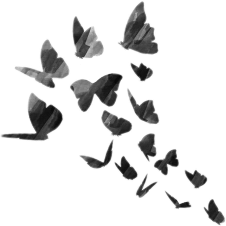 어두운 검은 나비 PNG 이미지 무료 다운로드