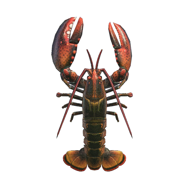 Lobster Juvenile American Lobster PNG ดาวน์โหลดภาพ