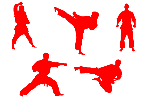 Coup de pied taekwondo PNG image de fond