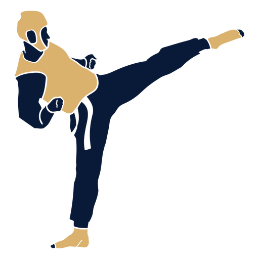 Kicking Taekwondo PNG Image Background