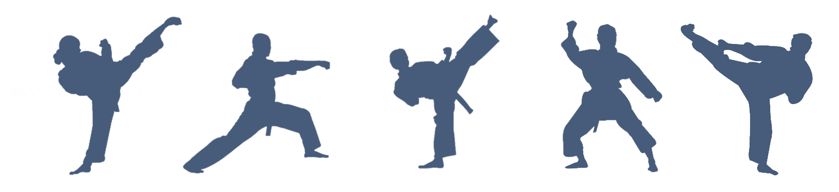 Kicking Taekwondo PNG Pic