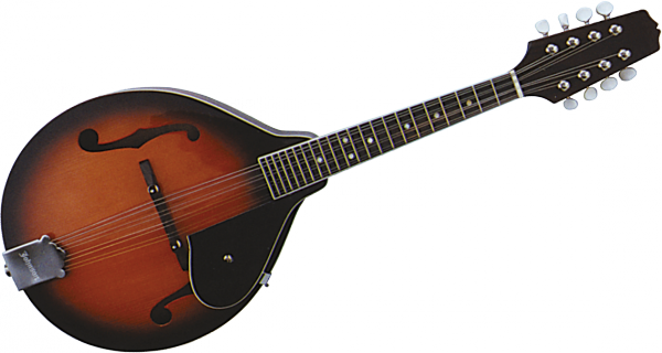 Mandolin 악기 투명