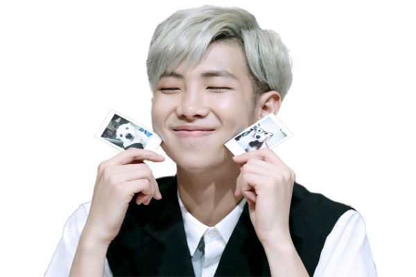 South BTS Rap Monster PNG High-Quality Image