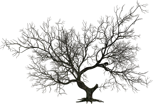Вектор черное дерево PNG фона фото