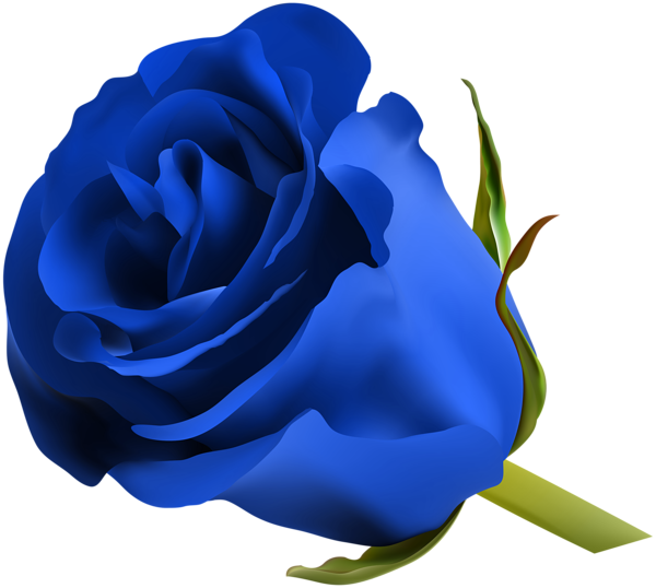 Vektor blaue Blumen PNG kein Hintergrund