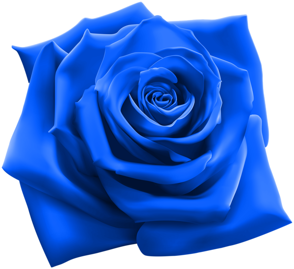 Vektor blaue Blumen PNG transparent