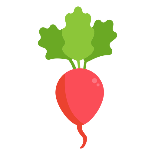 Vector Radish Transparent Image